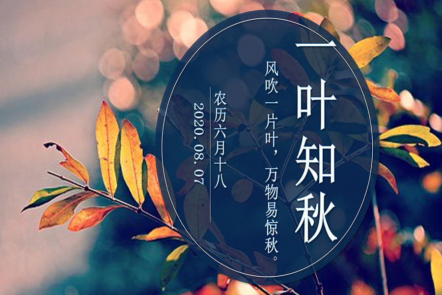 一叶知.jpg 一叶知.jpg