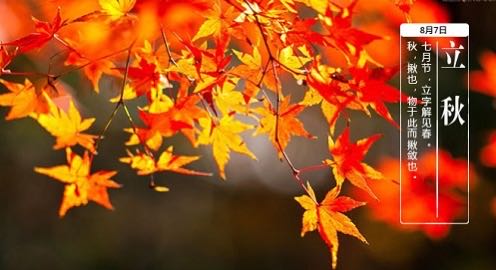 立秋.jpg 立秋.jpg