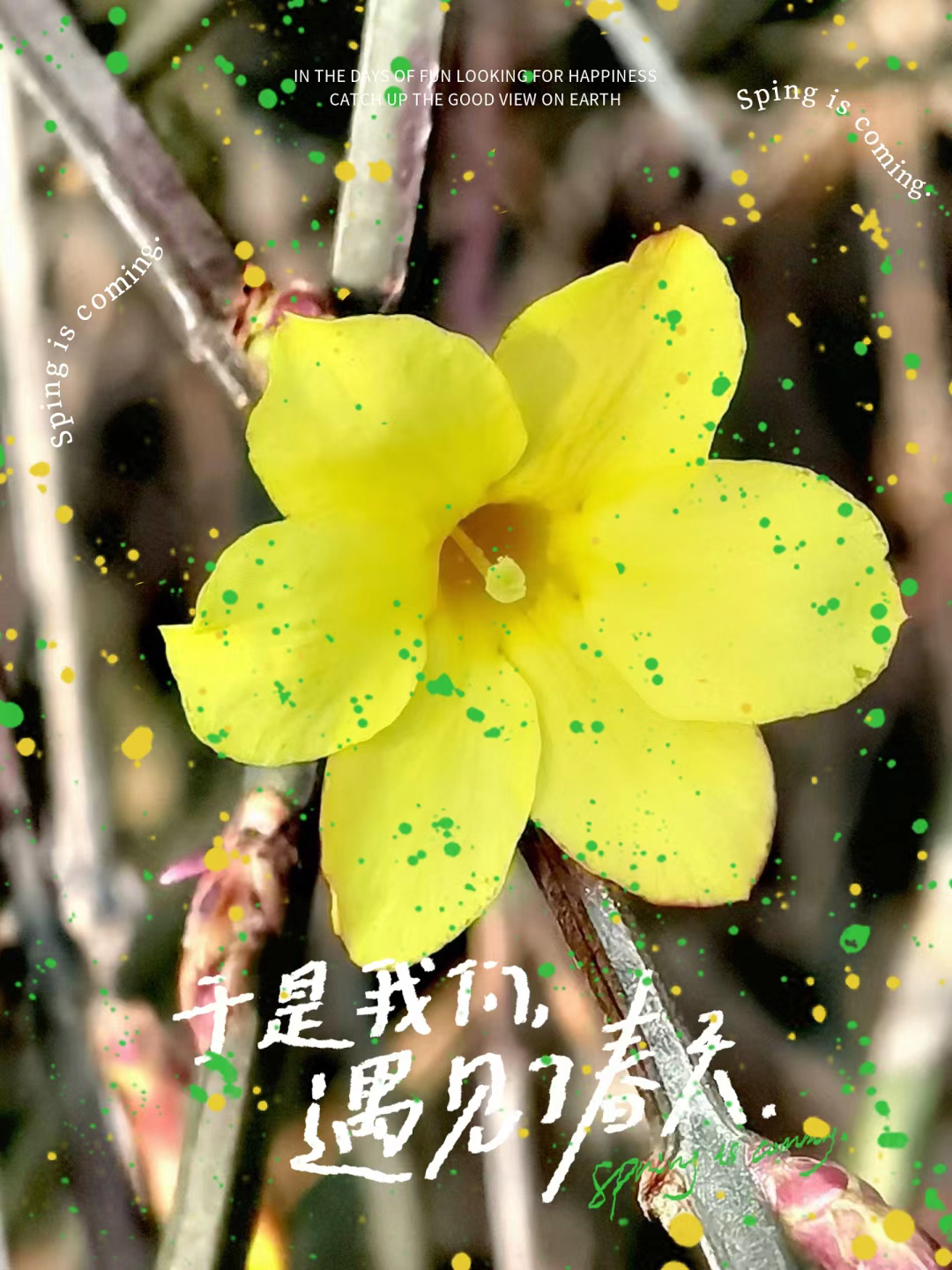 微信图片_20230311093709.png 微信图片_20230311093709.png