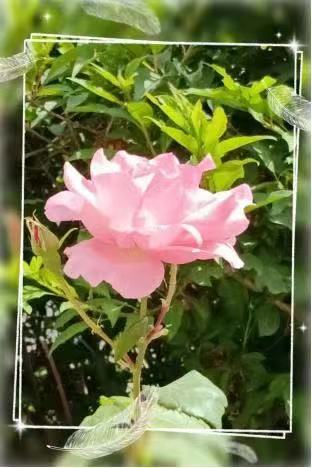 微信图片_20230509103753.jpg 微信图片_20230509103753.jpg