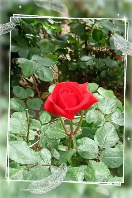 微信图片_20230509103758.jpg 微信图片_20230509103758.jpg