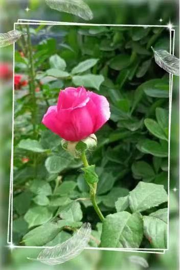 微信图片_20230509103801.jpg 微信图片_20230509103801.jpg