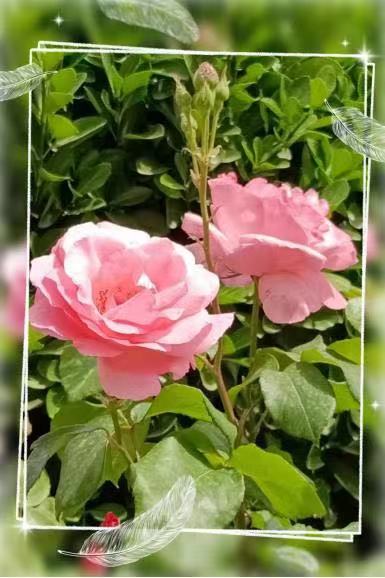 微信图片_20230509103916.jpg 微信图片_20230509103916.jpg