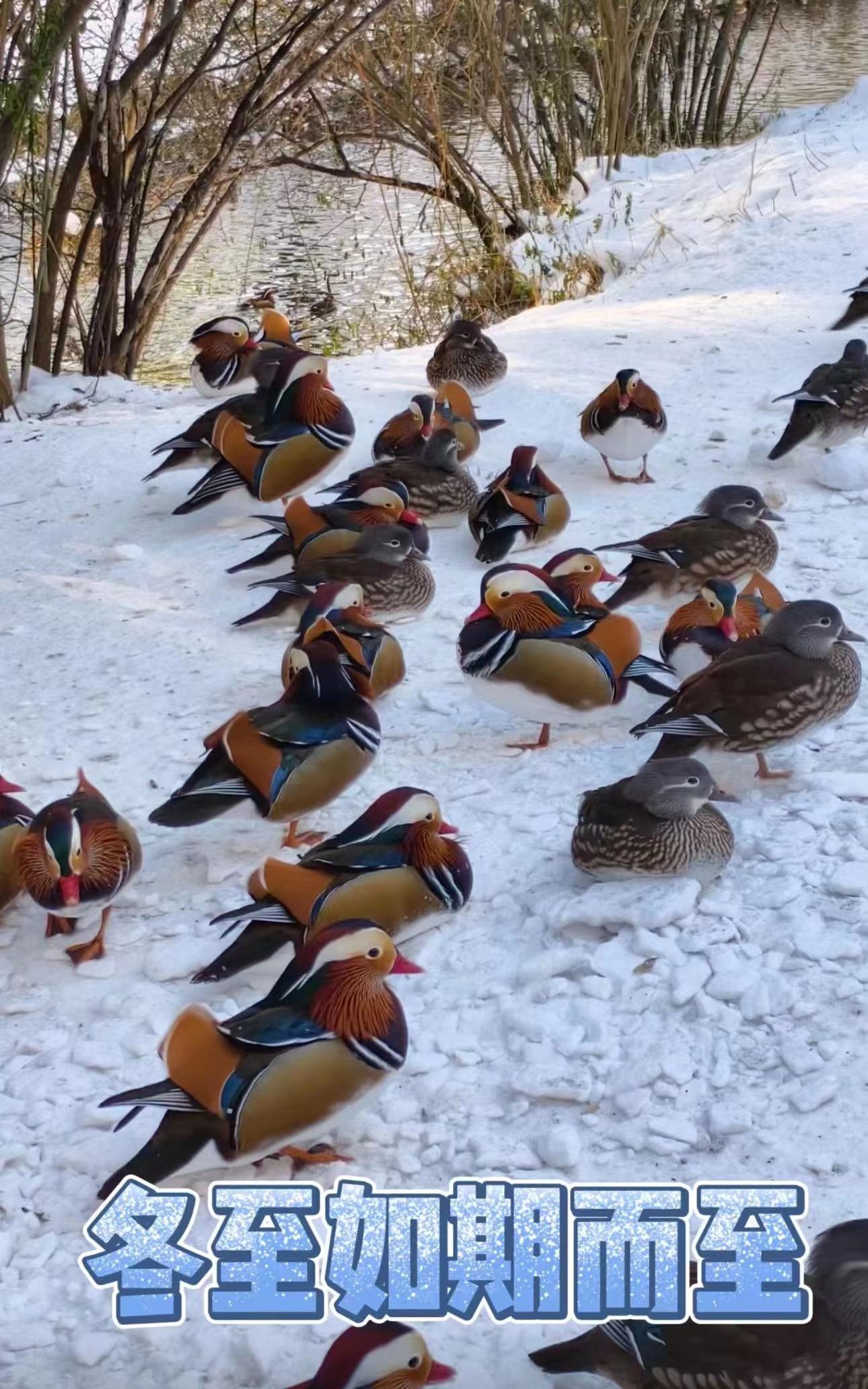 微信图片_20231218185711.jpg 微信图片_20231218185711.jpg