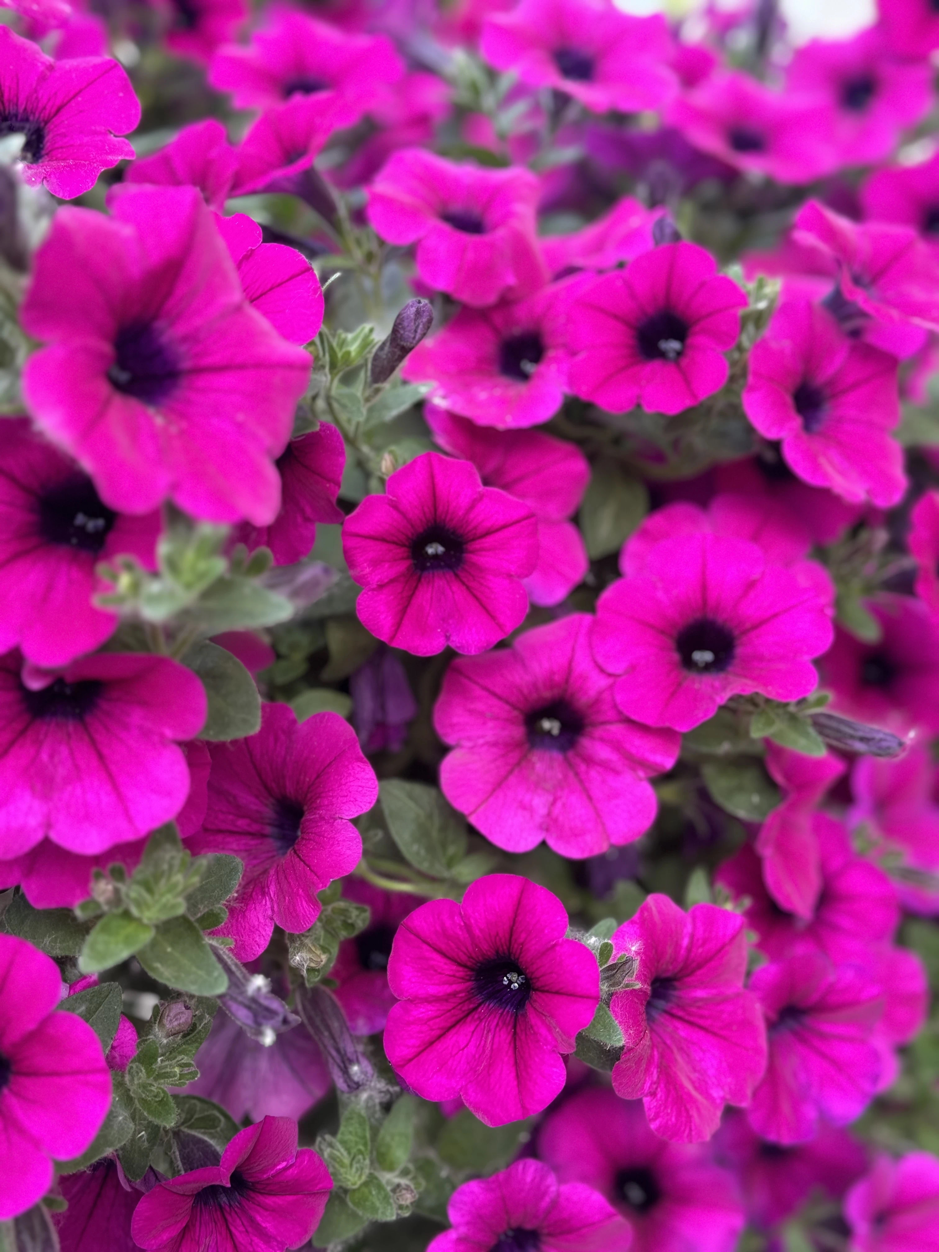 微信图片_20240506112620.jpg 微信图片_20240506112620.jpg