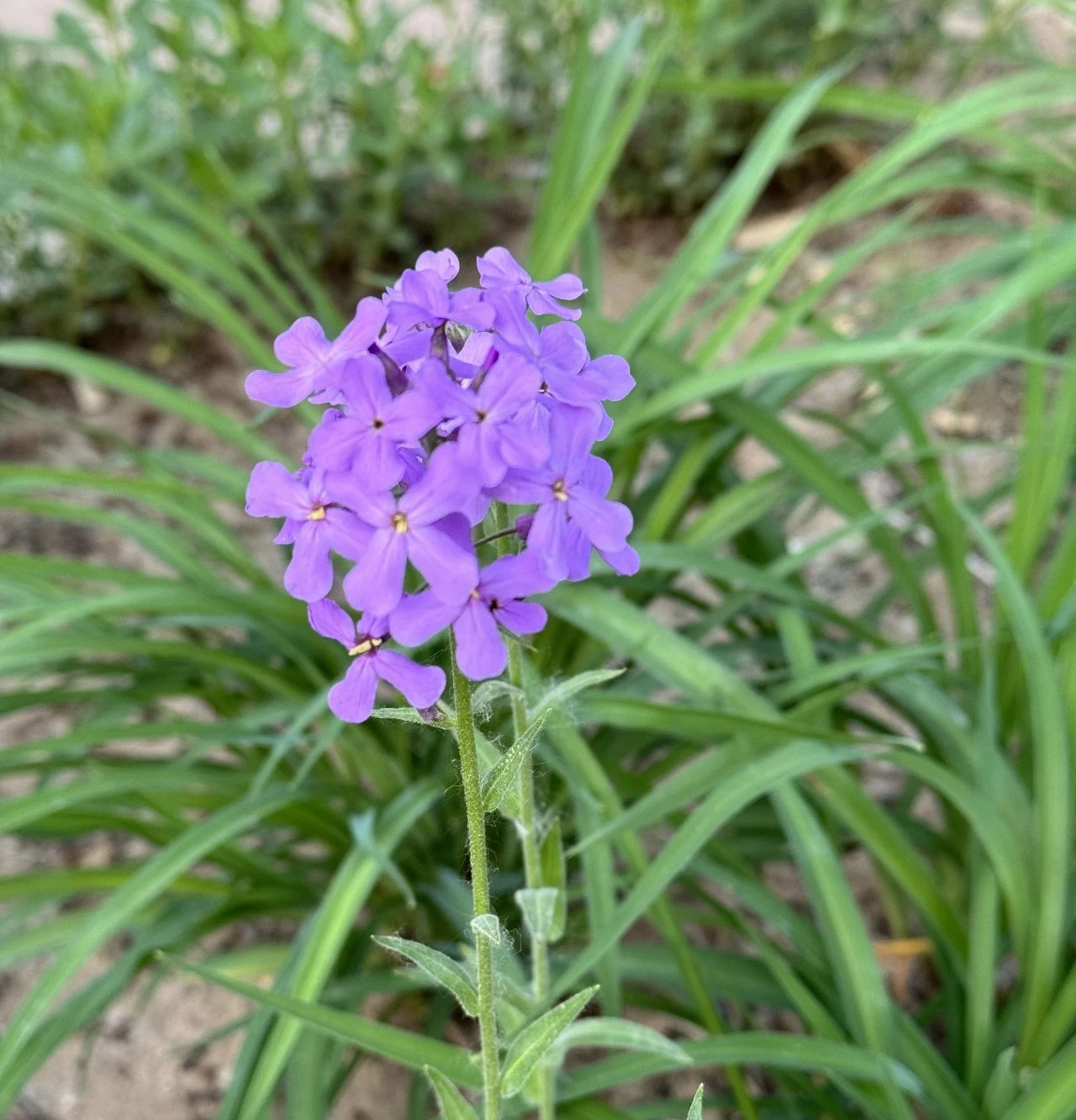 微信图片_20240506112626.jpg 微信图片_20240506112626.jpg