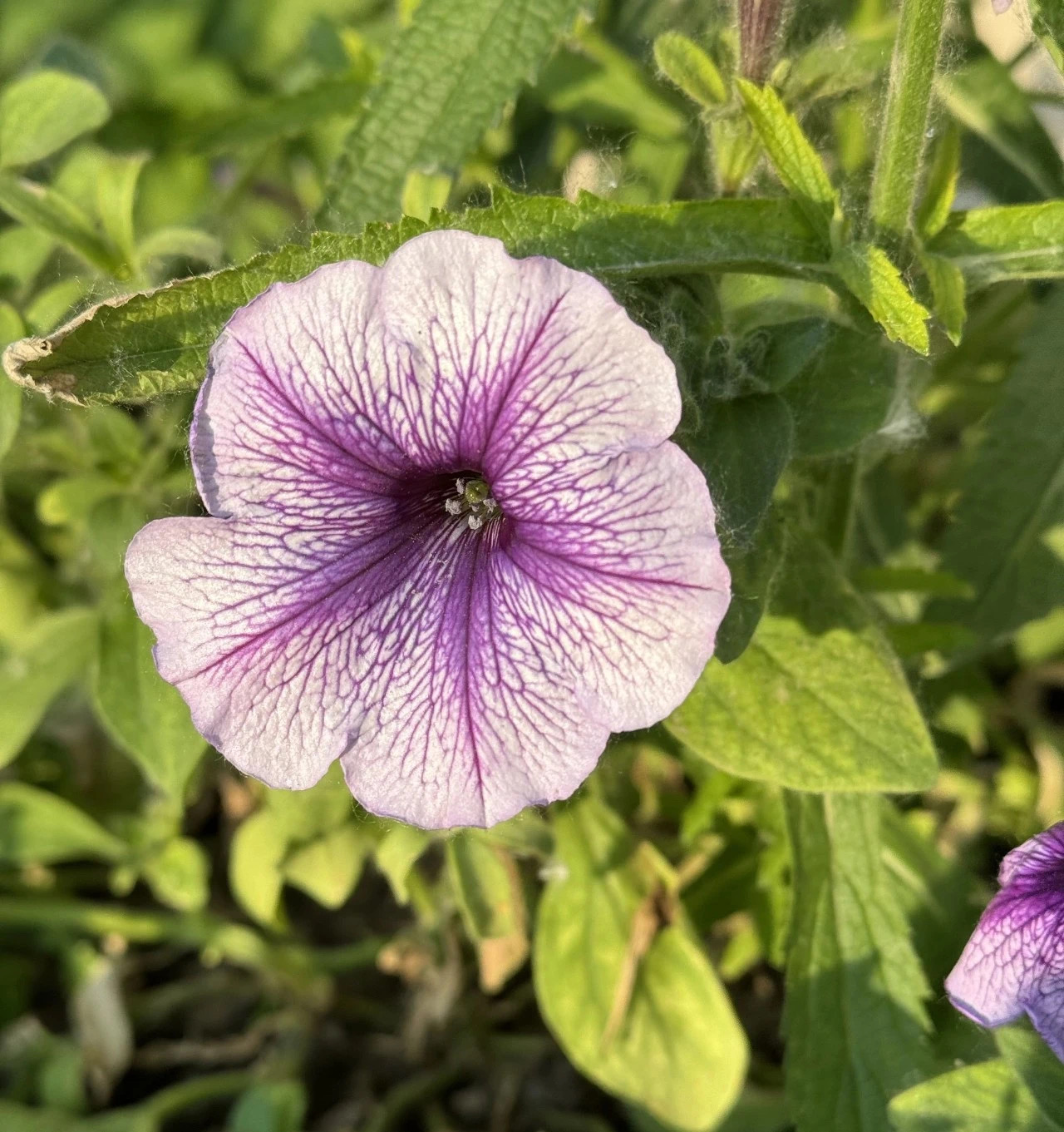 微信图片_20240506112630.jpg 微信图片_20240506112630.jpg