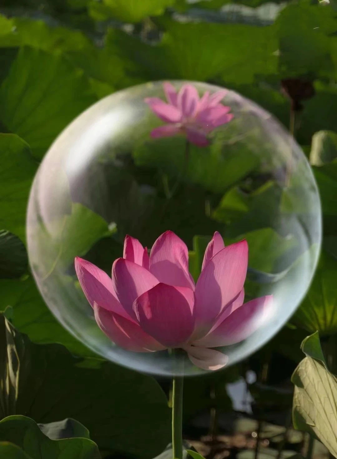 微信图片_20240826193735.jpg 微信图片_20240826193735.jpg