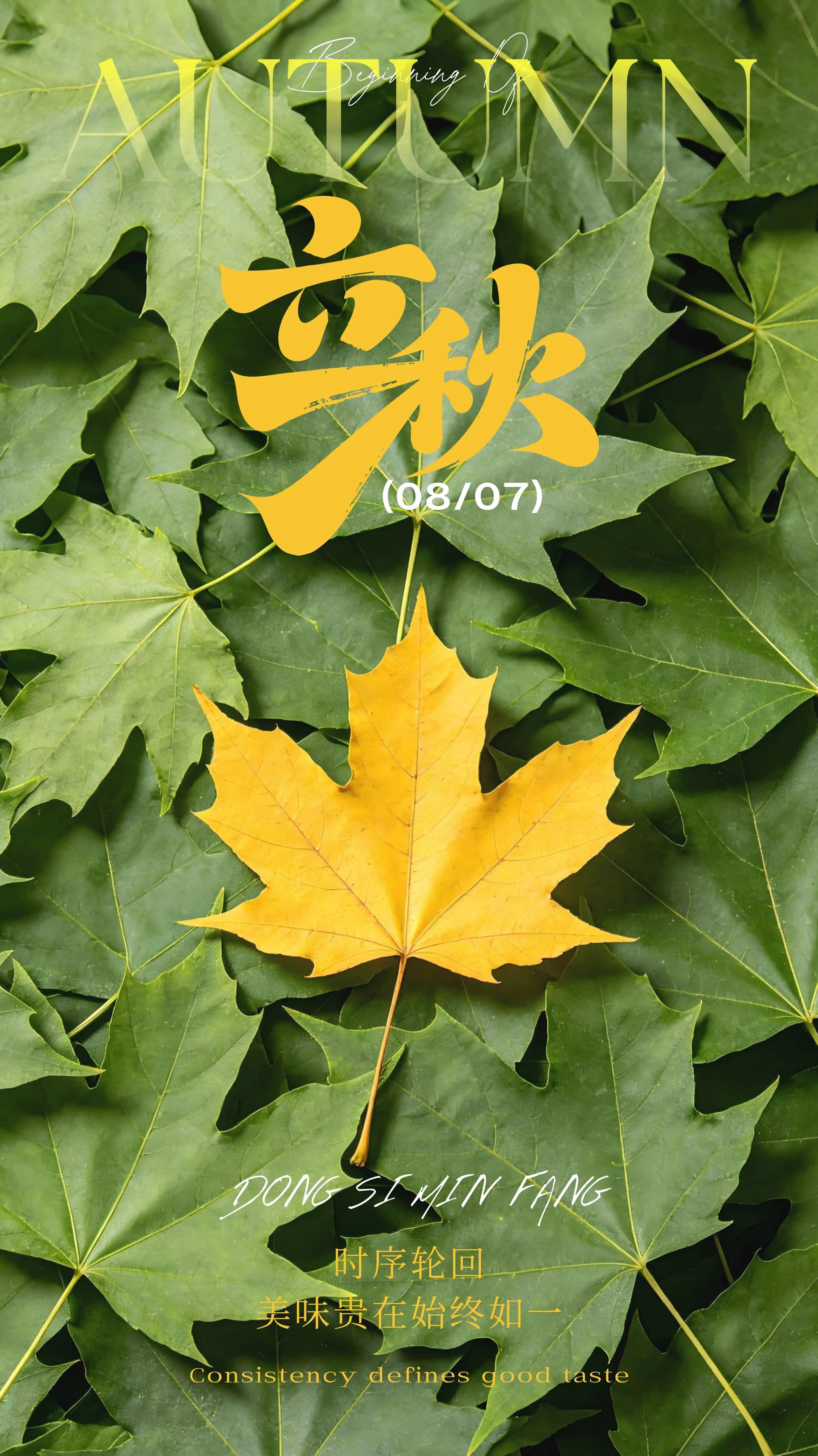 微信图片_2026-08-06_135318_819.jpg 微信图片_2026-08-06_135318_819.jpg
